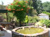 villa ornate pond